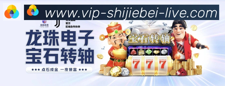 体育数据展示